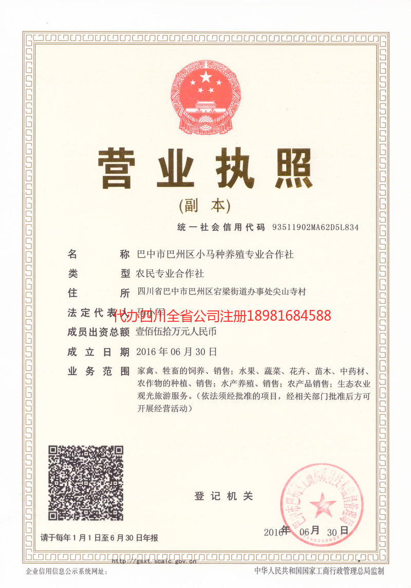 格尔木格尔木小马种养殖专业合作社